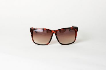 Wayfarer Curve Tortoise